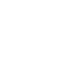 Section 1 Icon 1