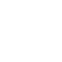 Section 1 Icon 2
